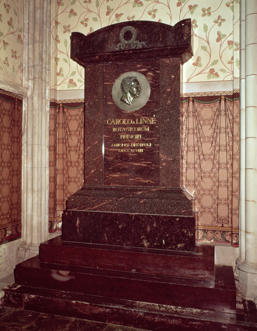 कार्ल लिनिअस का मकबरा (1707-78) द्वारा स्वीडिश स्कूल