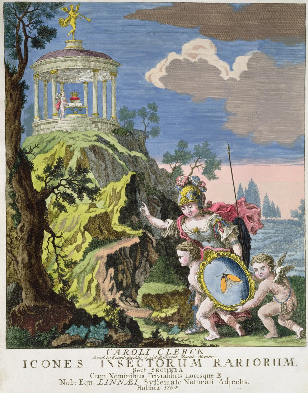 कीड़े Engravings कोच द्वारा, स्वीडन, 1764 के प्रतीक frontispiece द्वारा स्वीडिश स्कूल