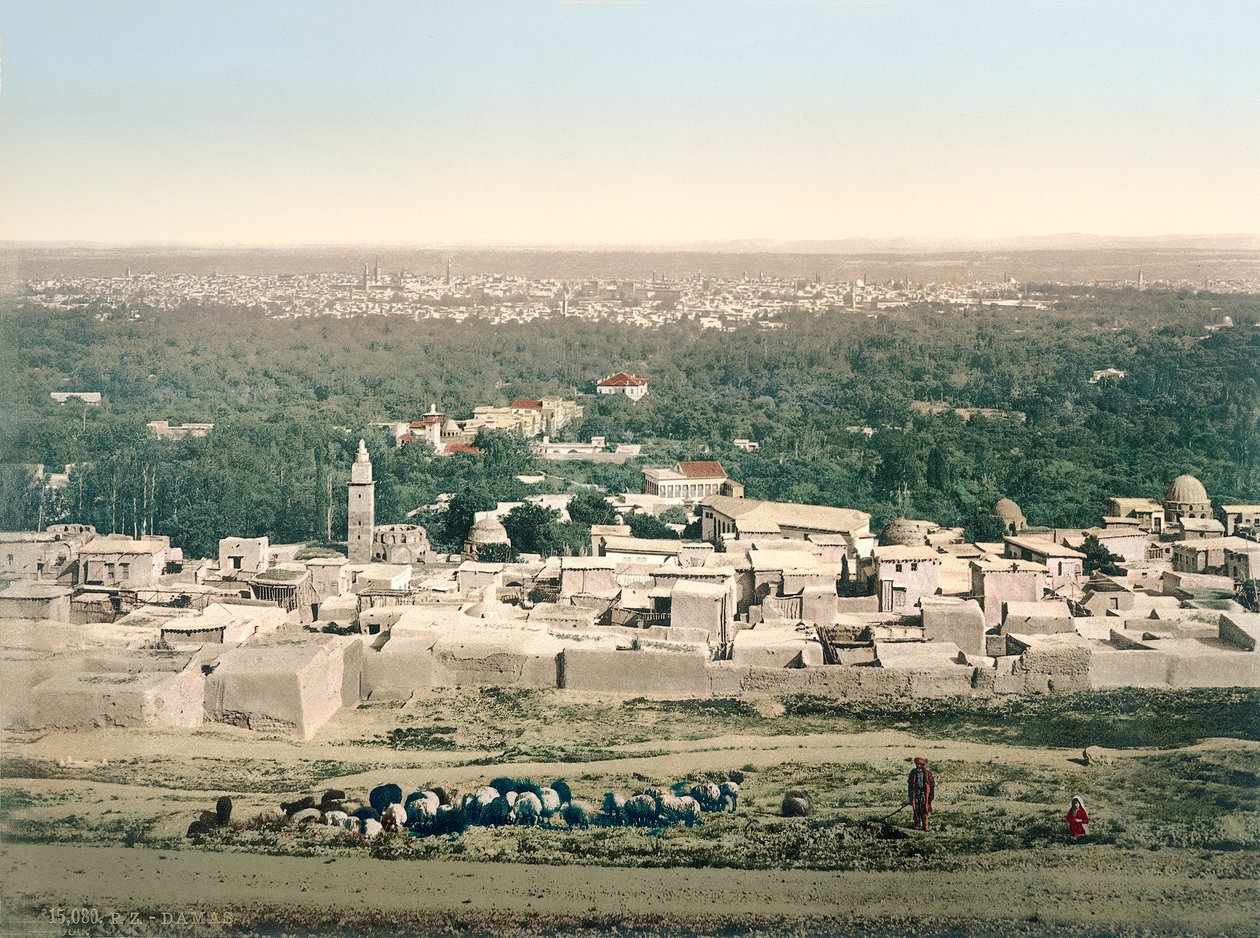 दमिश्क का सामान्य दृश्य, c.1880-1900 (फोटोक्रोम) द्वारा स्विस फोटोग्राफर