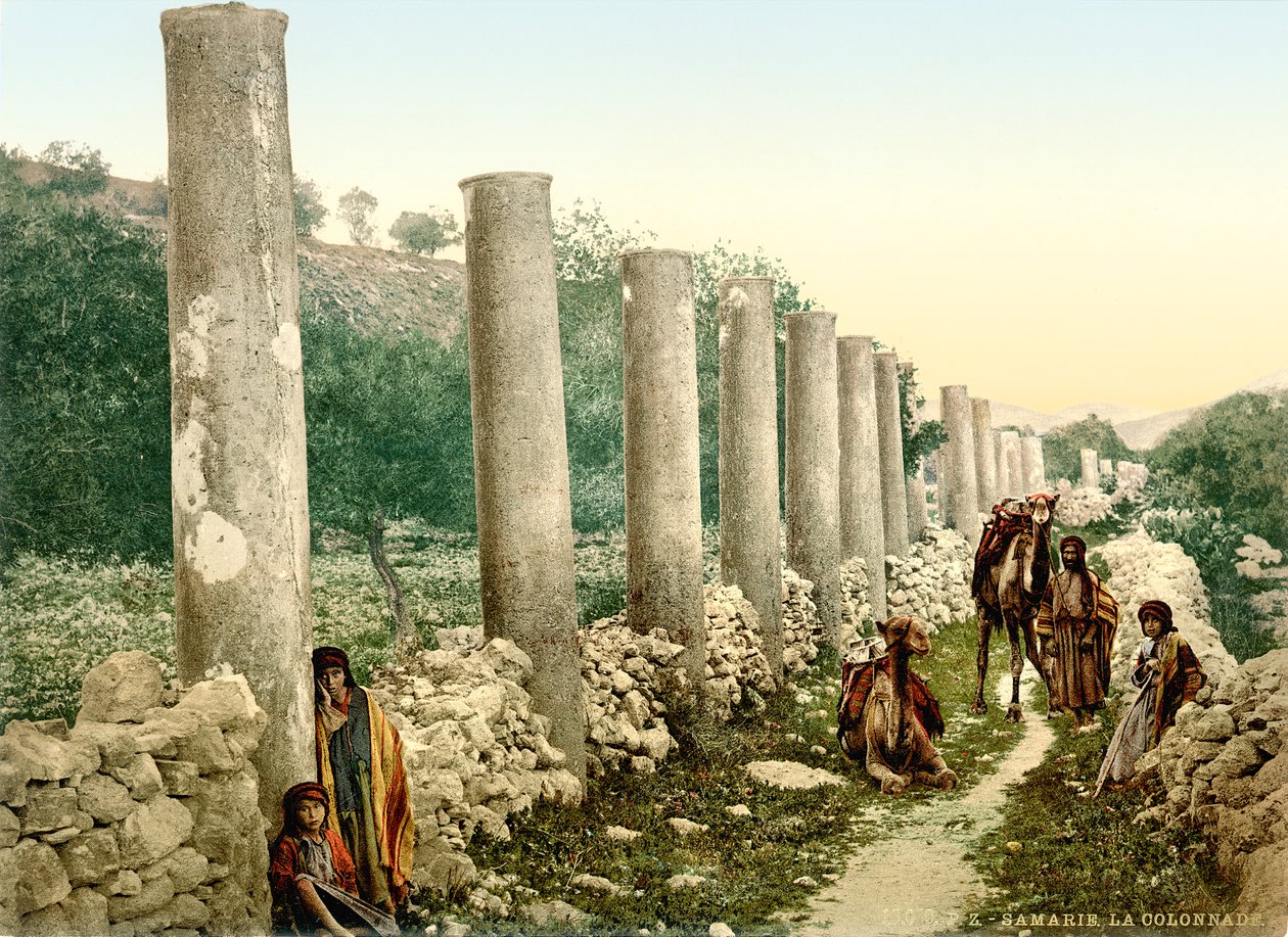 सामरिया में रोमन उपनिवेश वाली गली, c.1880-1900 (फोटोक्रोम) द्वारा स्विस फोटोग्राफर