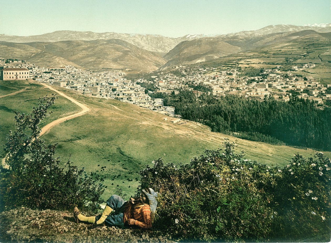 ज़लेह, एंटी-लेबनान, c.1880-1900 (फोटोक्रोम) द्वारा स्विस फोटोग्राफर
