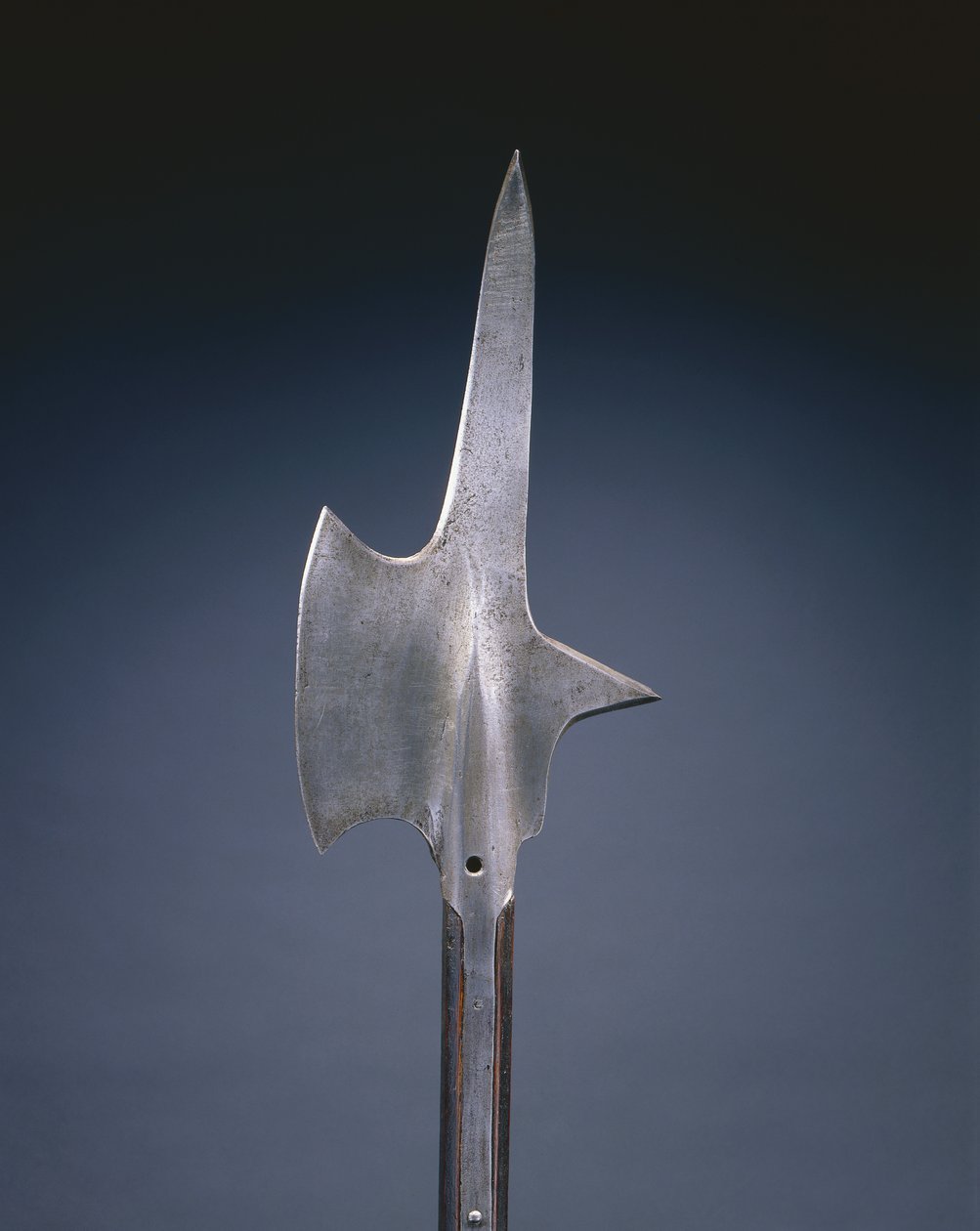 Halberd (इस्पात और लकड़ी) द्वारा स्विस स्कूल