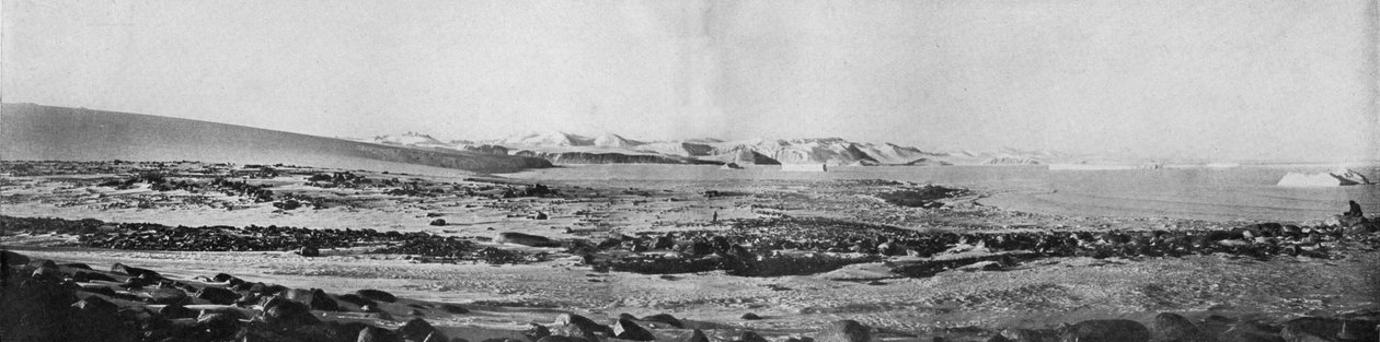 केप राबर्ट्स लुकिंग नॉर्थ का एक पैनोरमा, c1911, 1913। द्वारा टी। ग्रिफ़िथ टेलर