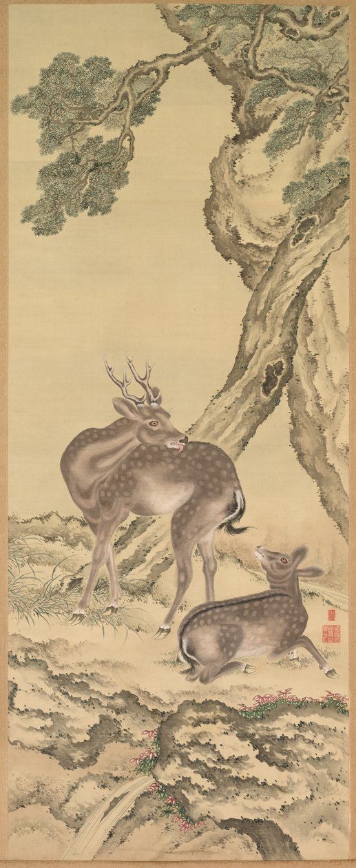  द्वारा तदनाका टोडा