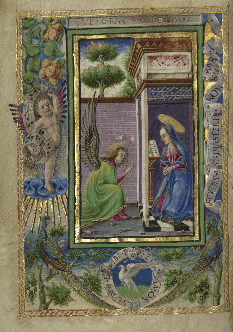 Gualenghi-d&39;Este Hours द्वारा तादेदेव और गिराल्डी गुग्लिल्मो (1445-89) क्रिवली