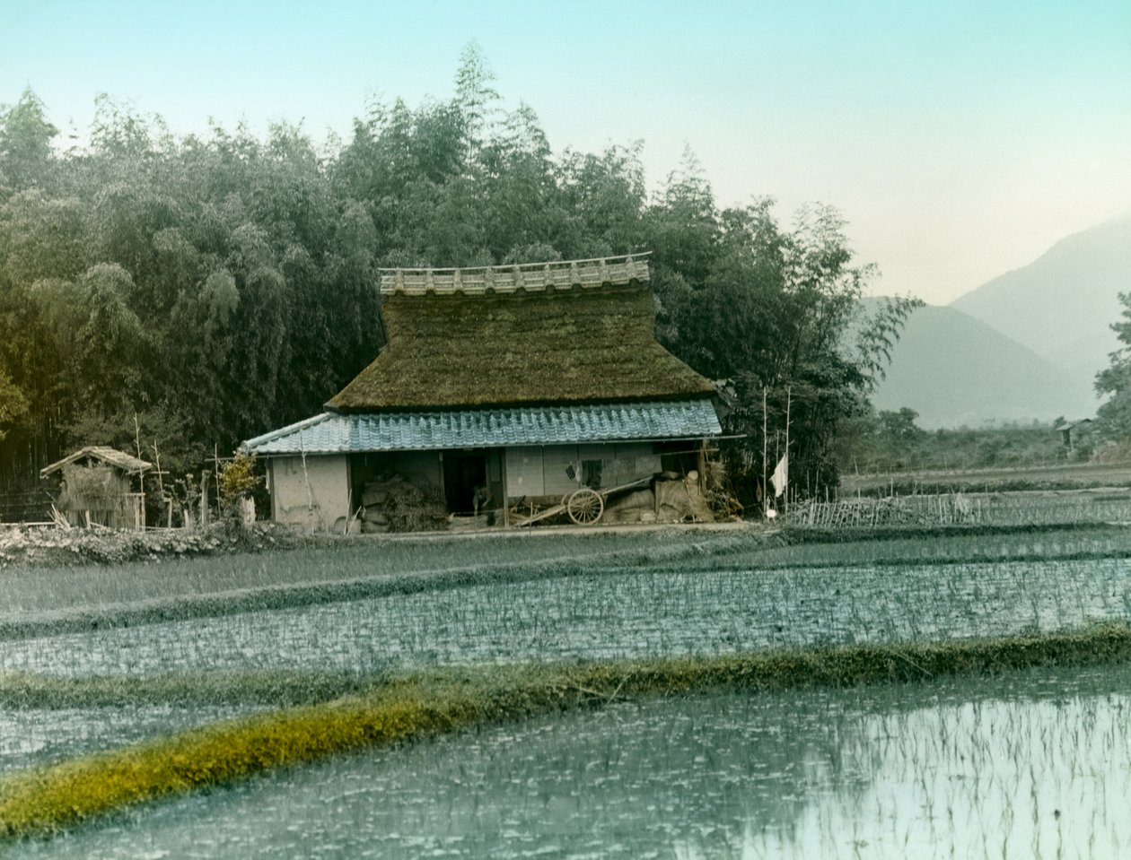  द्वारा 