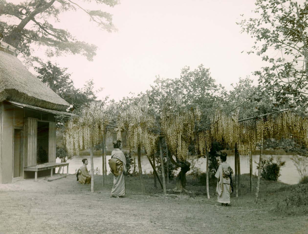  द्वारा 
