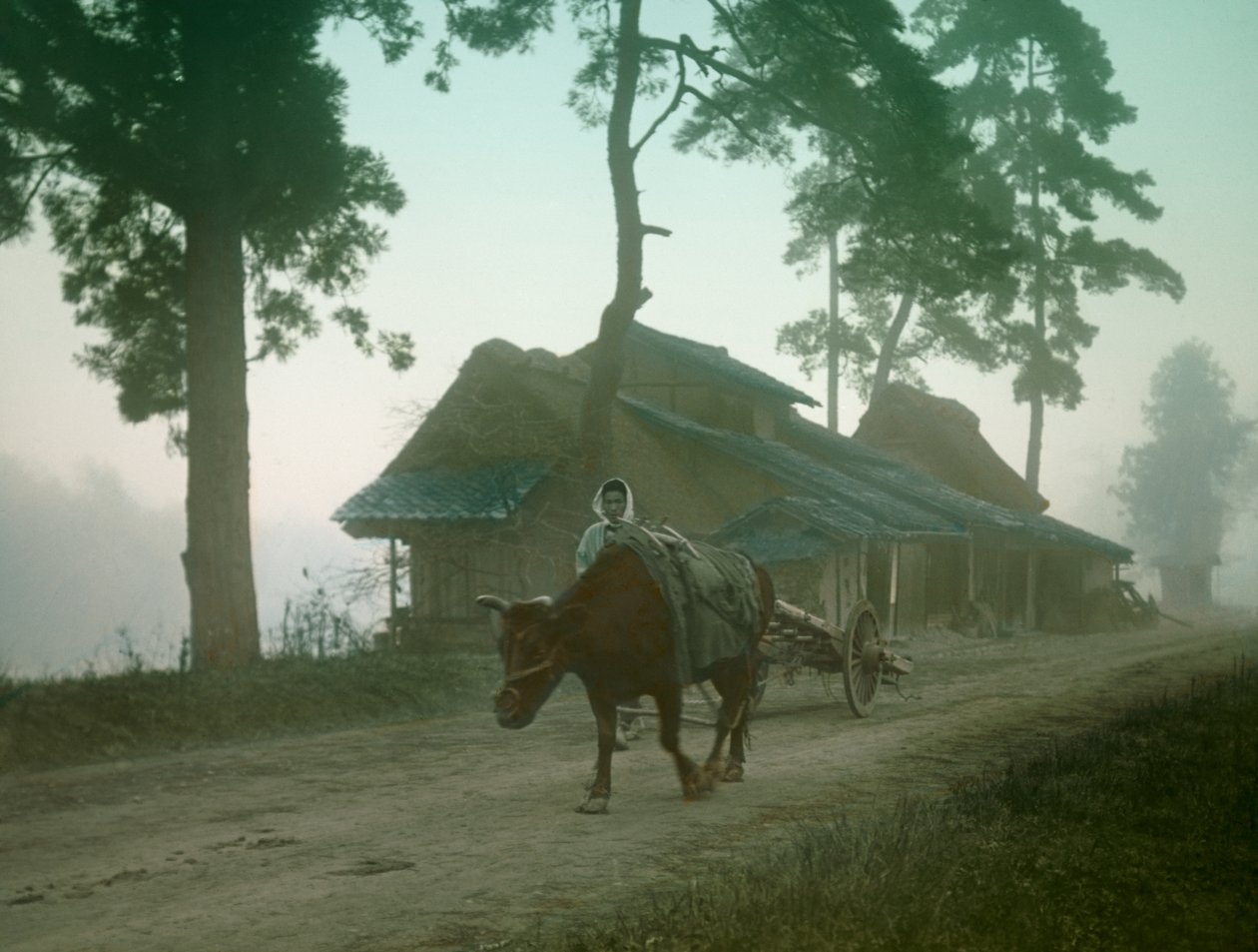  द्वारा 