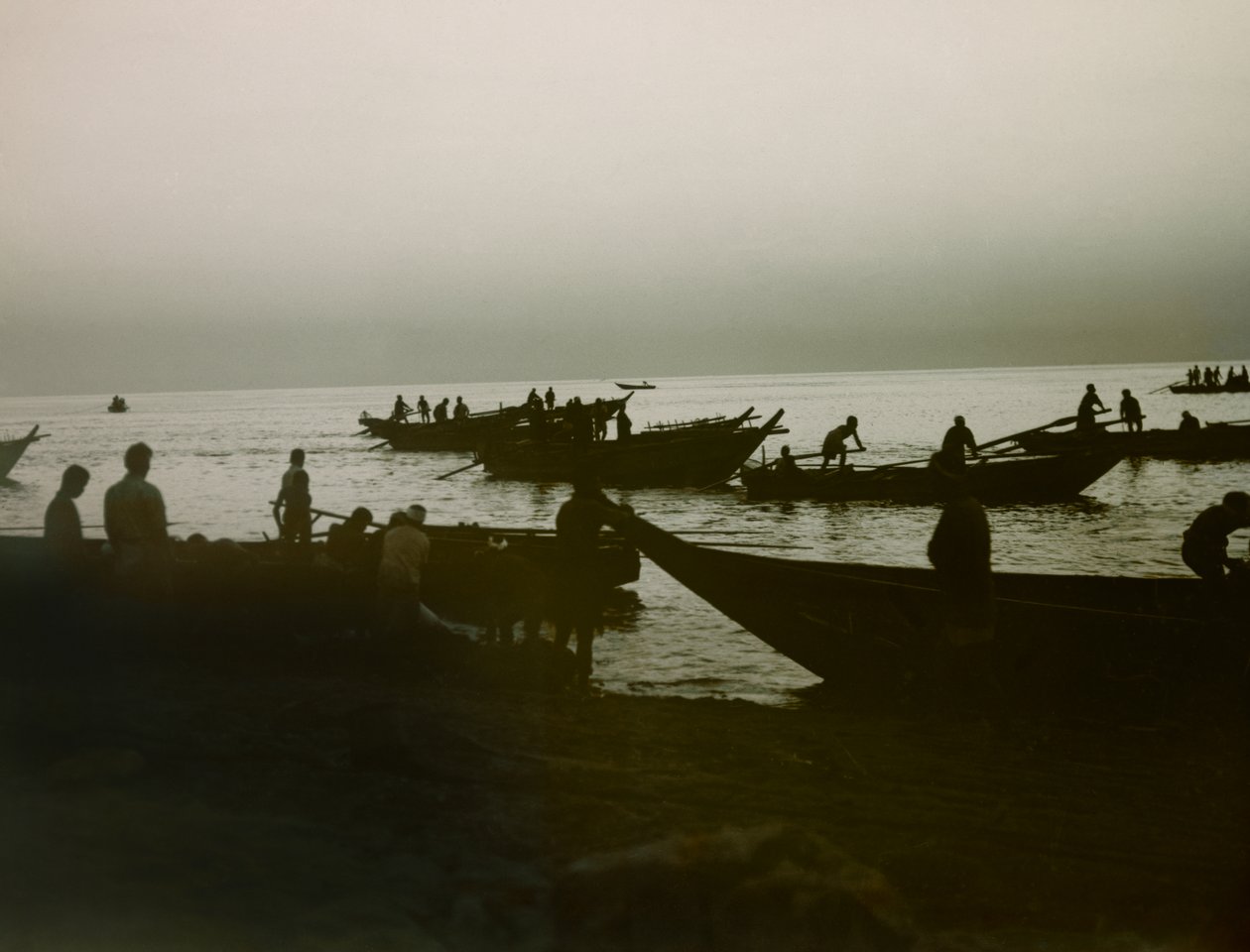  द्वारा 