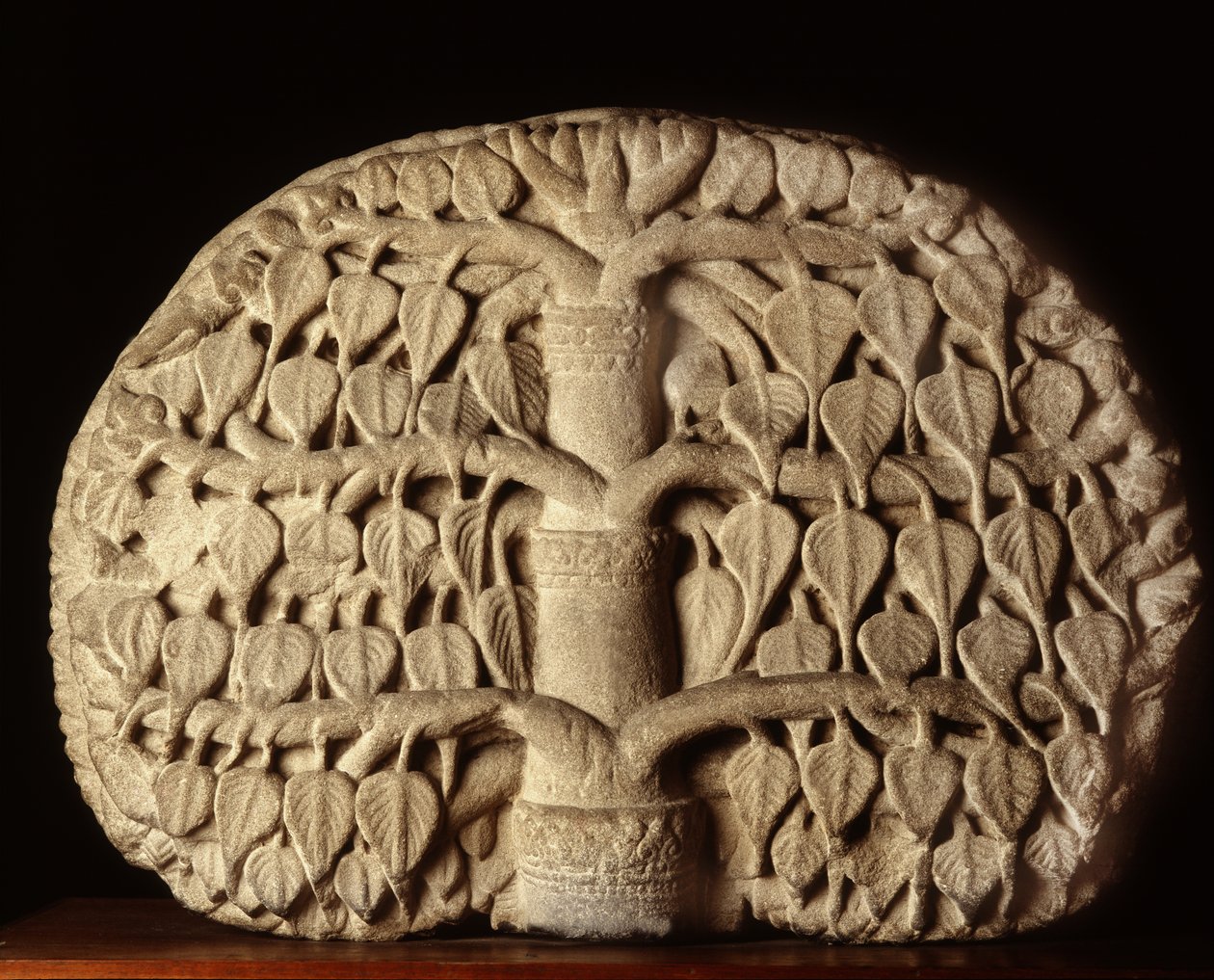 बोधि वृक्ष द्वारा थाई स्कूल