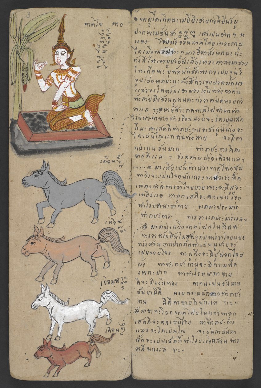  द्वारा थाई स्कूल