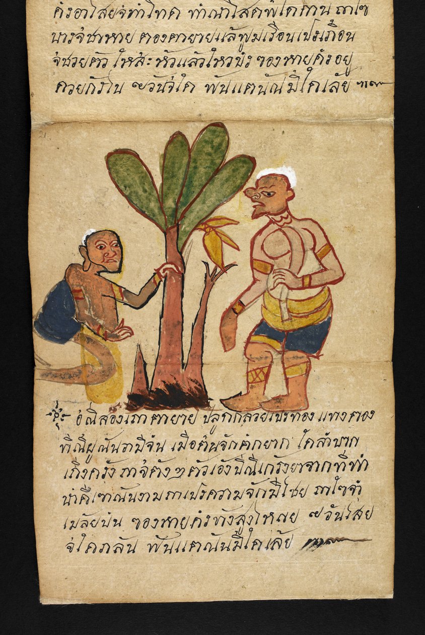  द्वारा थाई स्कूल