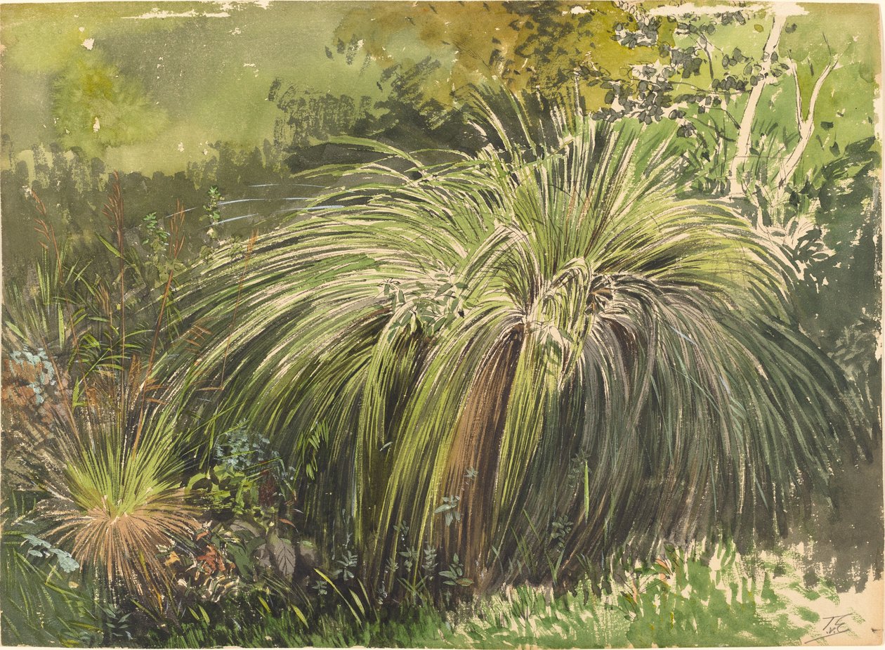 फाउंटेनग्रास के साथ एक घास का मैदान का एक कोना, c. 1870. द्वारा कॉर्नर क्रशर से थिमिस्टोकल्स