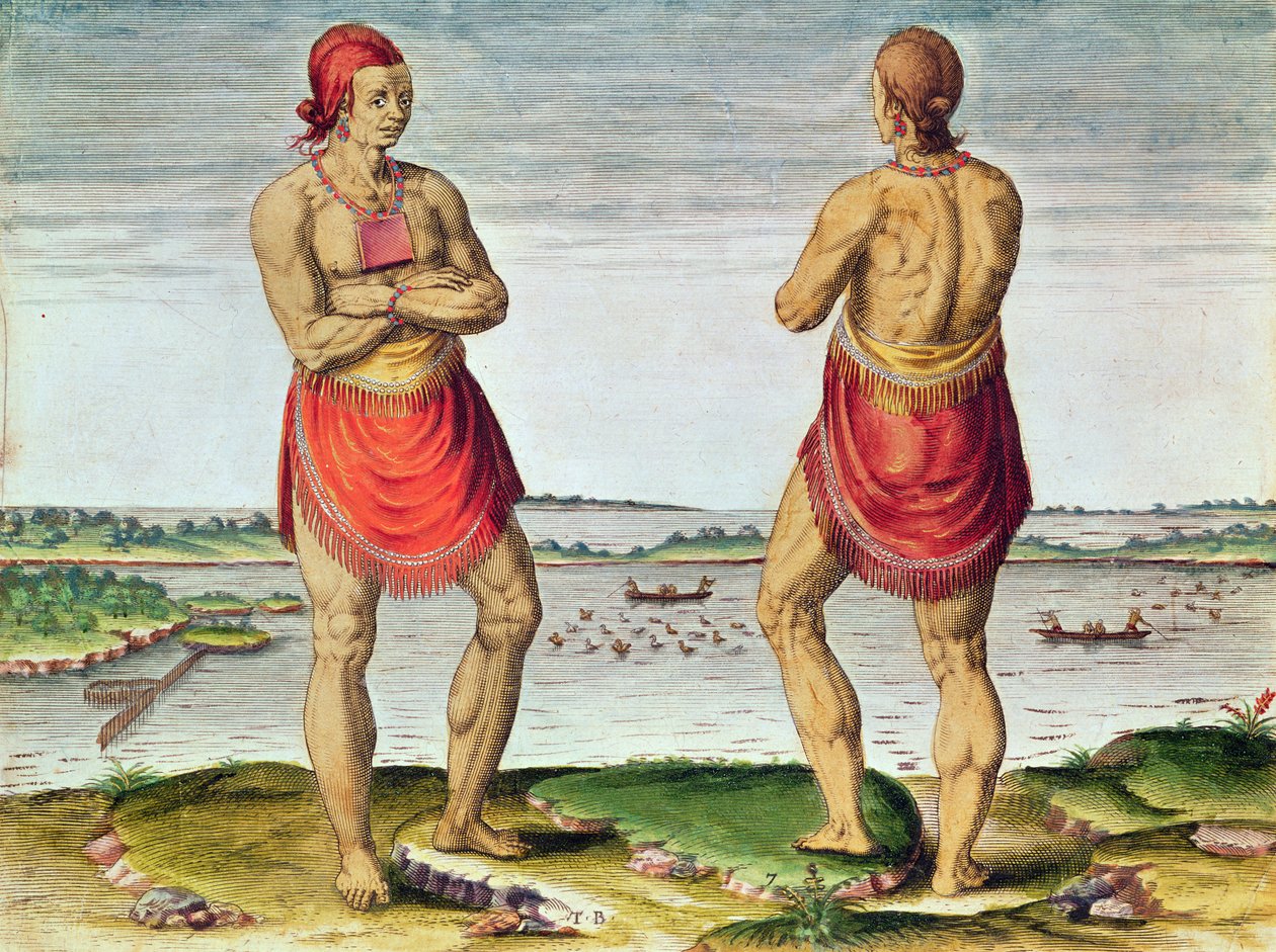 एडमिरंता नरेटियो ..., मुख्य रौनक (पृष्ठ 57, प्लेट 7), 1585-1588 (रंग उत्कीर्णन) द्वारा थियोडोर डी ब्राय