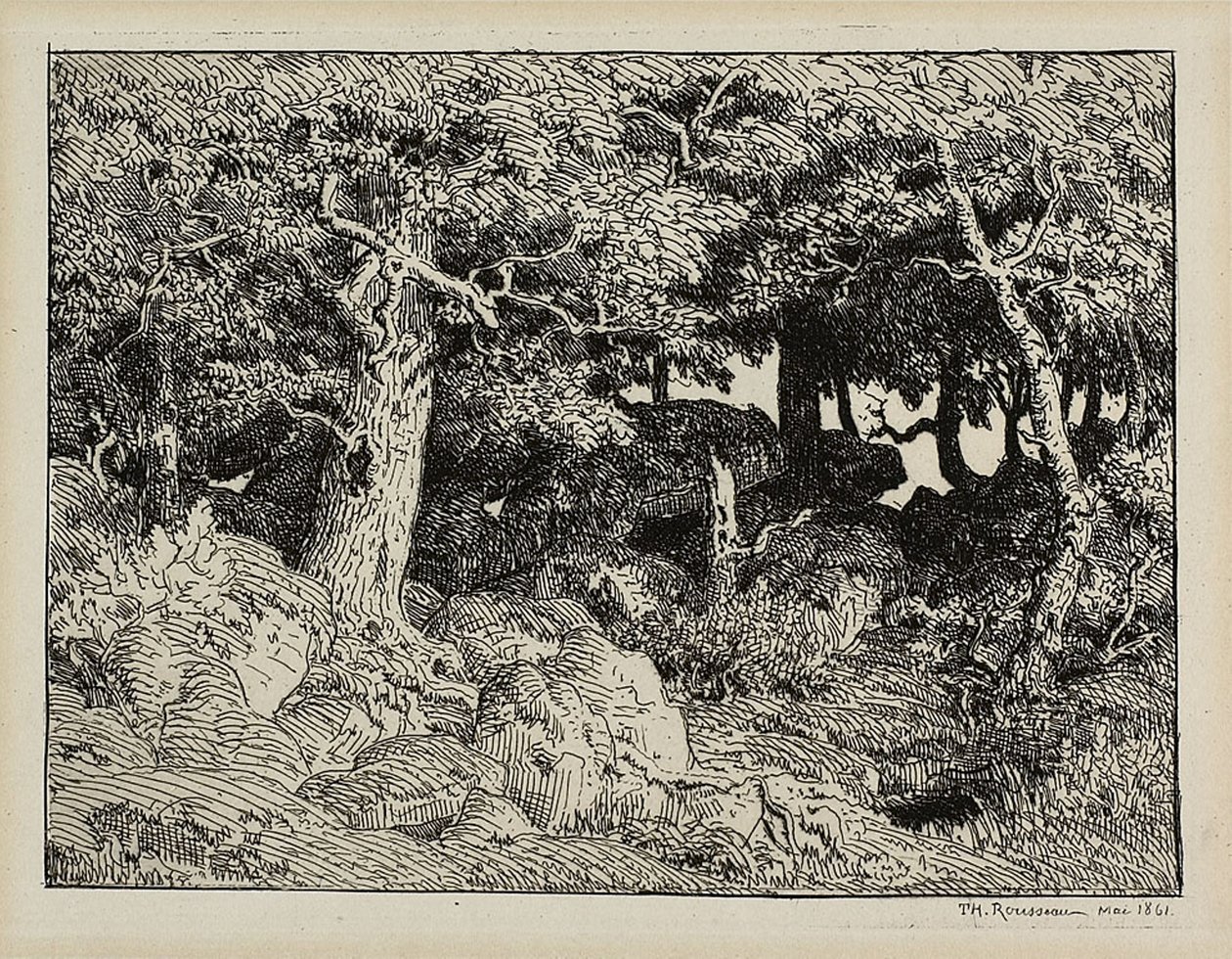  द्वारा थिओडोर रूसो