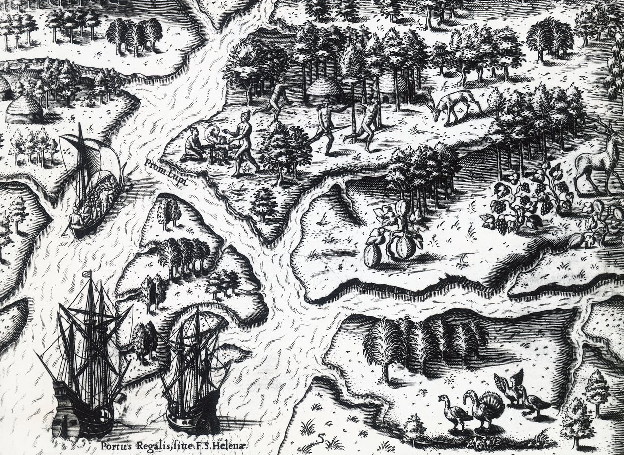 1564 में पोर्ट रॉयल में फ्रेंच का आगमन, थियोडोर डी ब्राय (1528-1598) द्वारा जैक्स ले मोयने डे मुर्गेस (सीए 1533 - 1588 से पहले) की पेंटिंग से, उत्कीर्णन द्वारा थियोडोर डी ब्राय