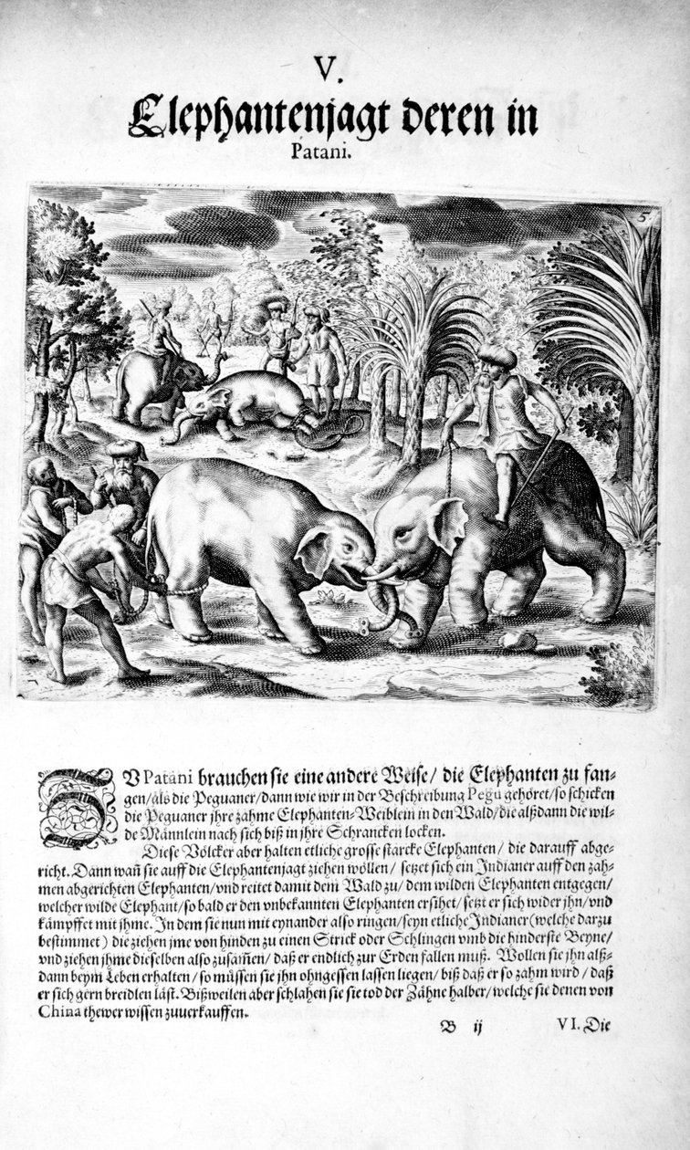 हाथियों की लड़ाई, 1606 द्वारा थियोडोर डी ब्राय