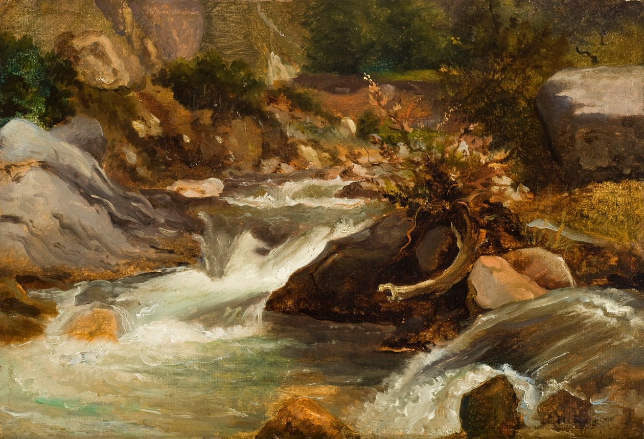 लैंडस्केप स्टडी (ला सोर्स) c.1830 (पैनल पर चढ़ा कागज पर तेल) द्वारा पियरे इटियेन थियोडोर रूसो
