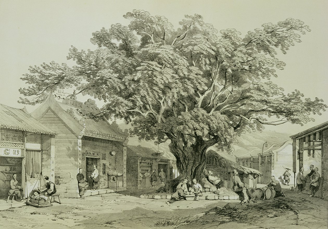 द टेम्पल, मकाओ, c.1850 (पेन अन्ड स्याही, पेंसिल, कागज पर सफेद रंग के साथ ऊंचा) द्वारा थॉमस एलोम