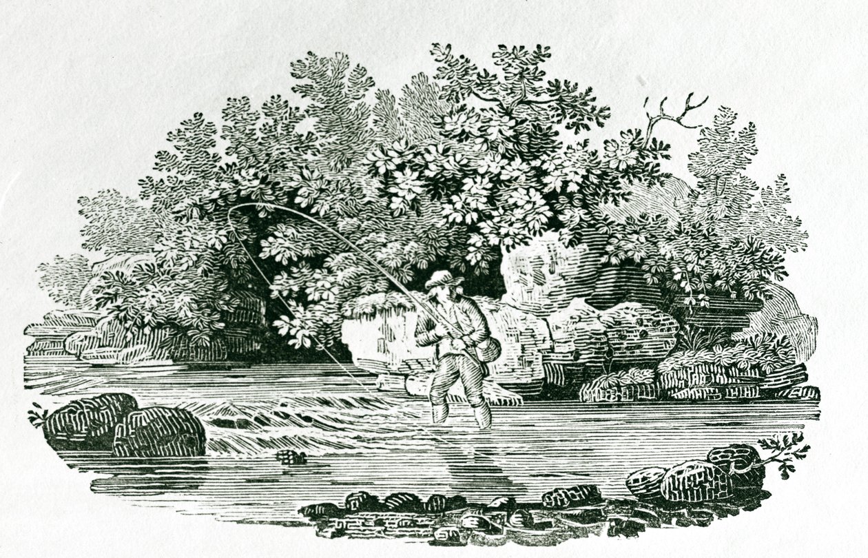 एंगलर इन ए रिवर पूल, &39;ब्रिटिश बर्ड्स&39; से, 1804 (लकड़ी की नक्काशी) द्वारा थॉमस बेविक
