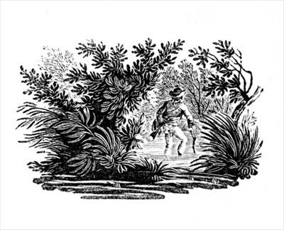 लैंड बर्ड से सीडिंग, सी। 1797 (लकड़ी की नक्काशी) द्वारा थॉमस बेविक