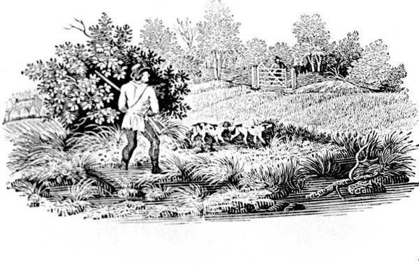 1797 लैंड बर्ड्स से दो कुत्ते के साथ खिलाड़ी (लकड़ी की नक्काशी) द्वारा थॉमस बेविक