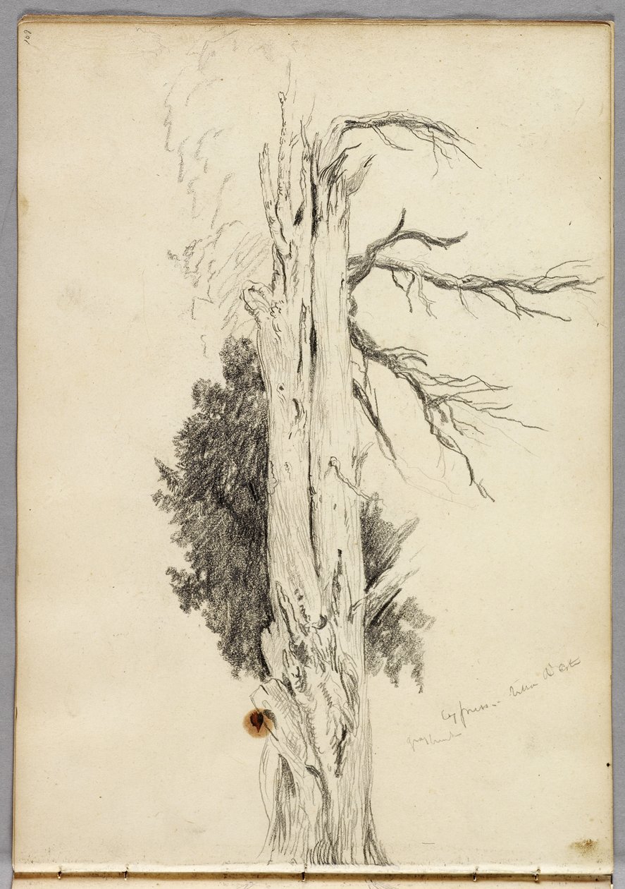 सरू, विला डीस्टे, 1832 द्वारा थॉमस कोल