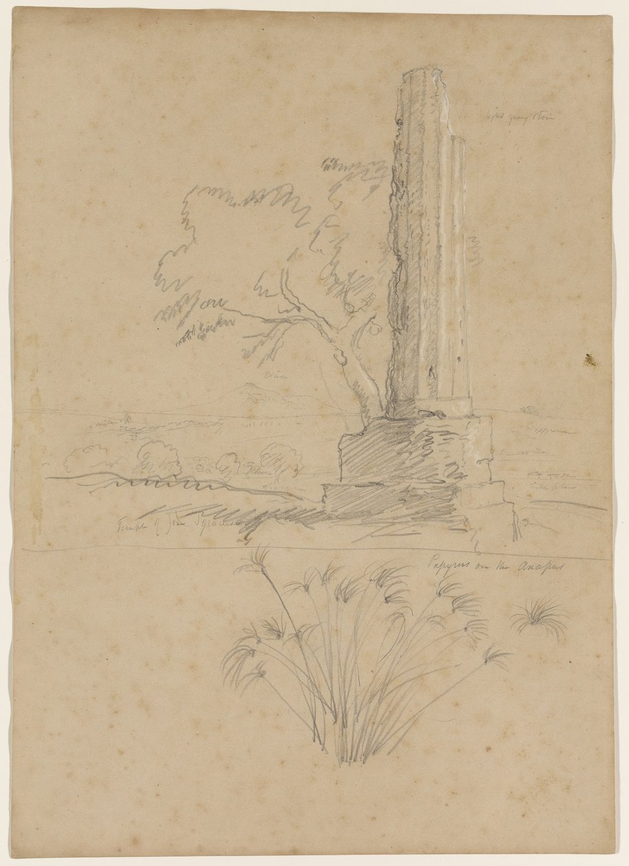 साइपस, सिसली, 1842 के पास अनापो नदी पर ज़ीउस और पैपिरस का मंदिर, (कागज पर सफेद चाक के साथ ऊँची पेंसिल) द्वारा थॉमस कोल