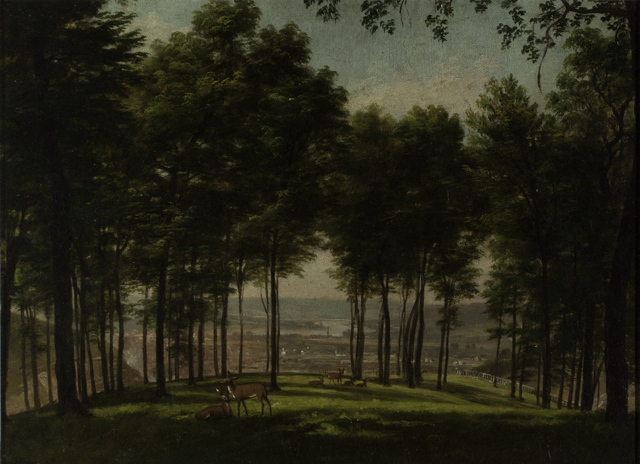 माउंट स्टॉर्म पार्क, सिनसिनाटी, 1840 (अकादमी बोर्ड पर तेल) द्वारा थॉमस वर्थिंगटन Whittredge