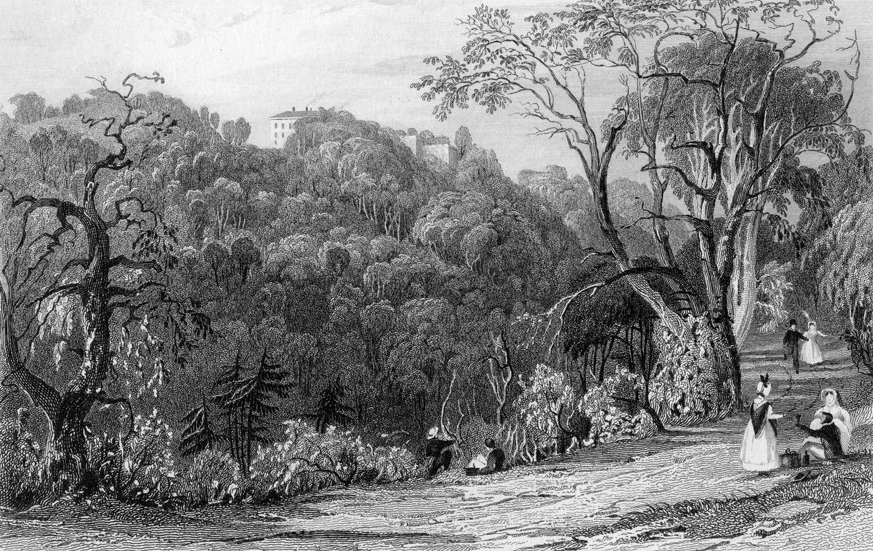 कैसल ईडन हॉल, डरहम, 1833 द्वारा थॉमस एलोम