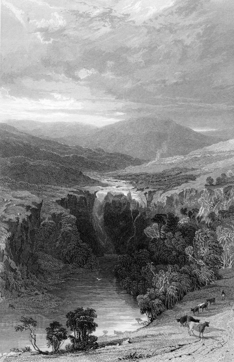 टीस, डरहम द्वारा उच्च बल, c.1835 द्वारा थॉमस एलोम