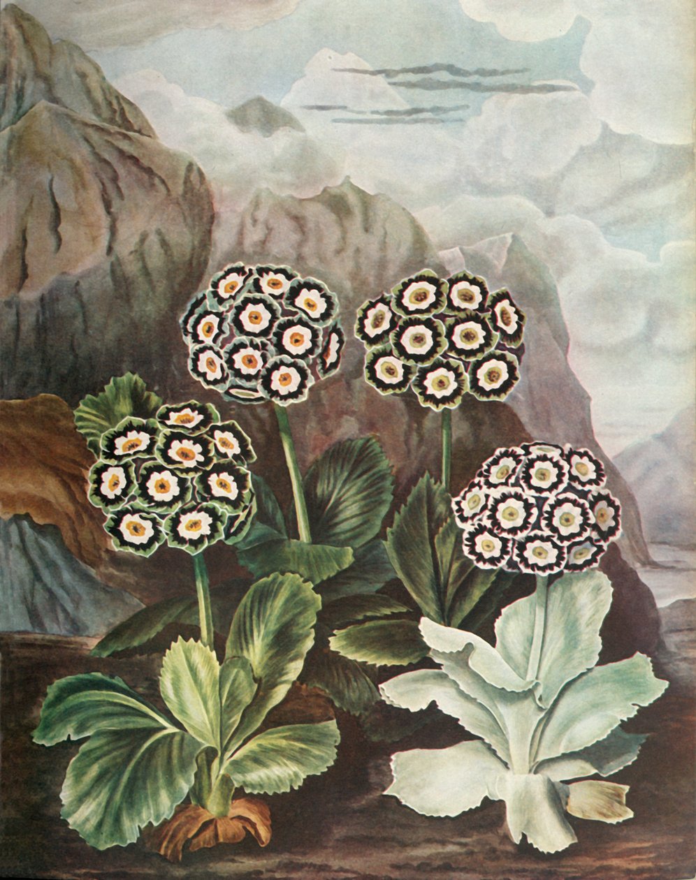 हैंडल, c1802-1821, 1948। द्वारा थॉमस बैक्सटर
