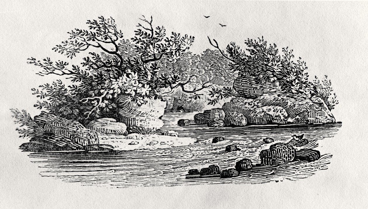 नदी में एक मोड़, 'वाटर बर्ड्स' से, 1804 में प्रकाशित (लकड़ी की नक्काशी) द्वारा थॉमस बेविक