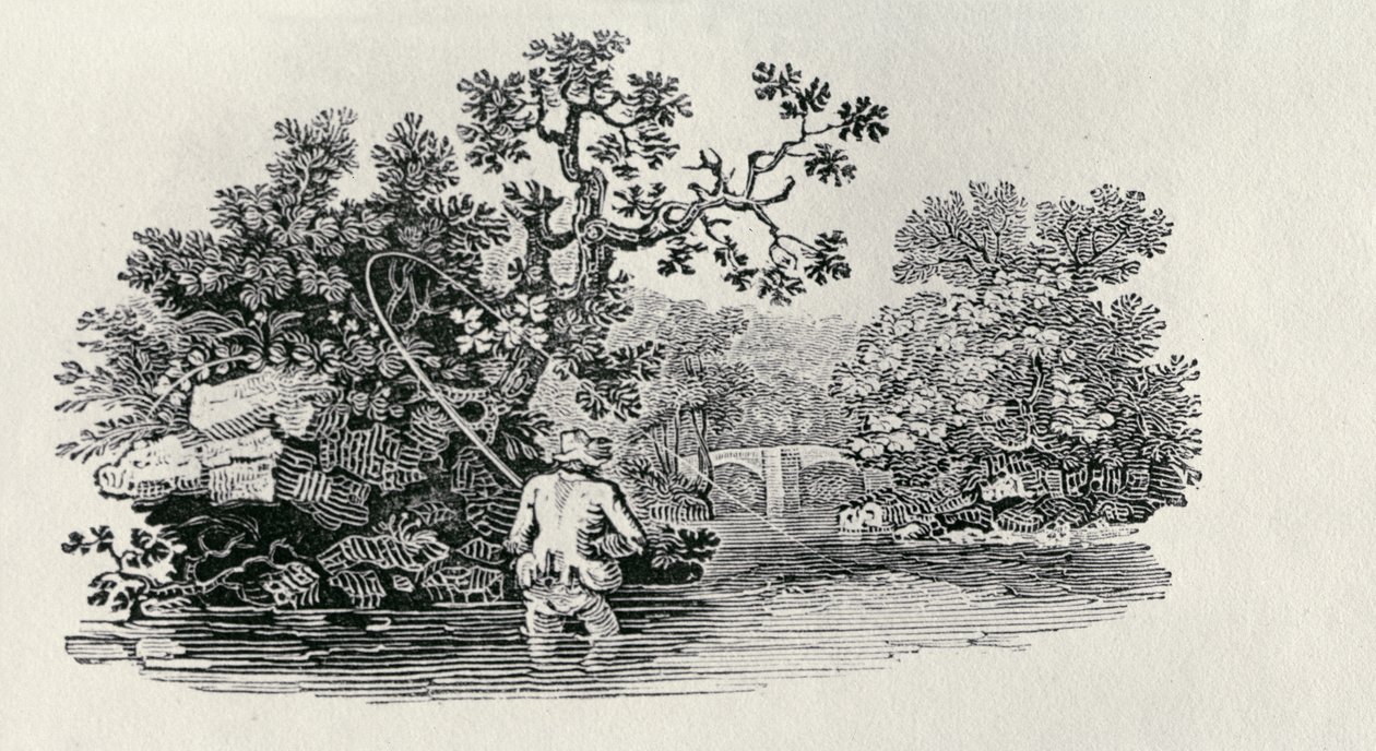 &39;ब्रिटिश बर्ड्स एंड क्वाड्रुपेड्स का इतिहास&39; से एक सामन खेलना द्वारा थॉमस बेविक