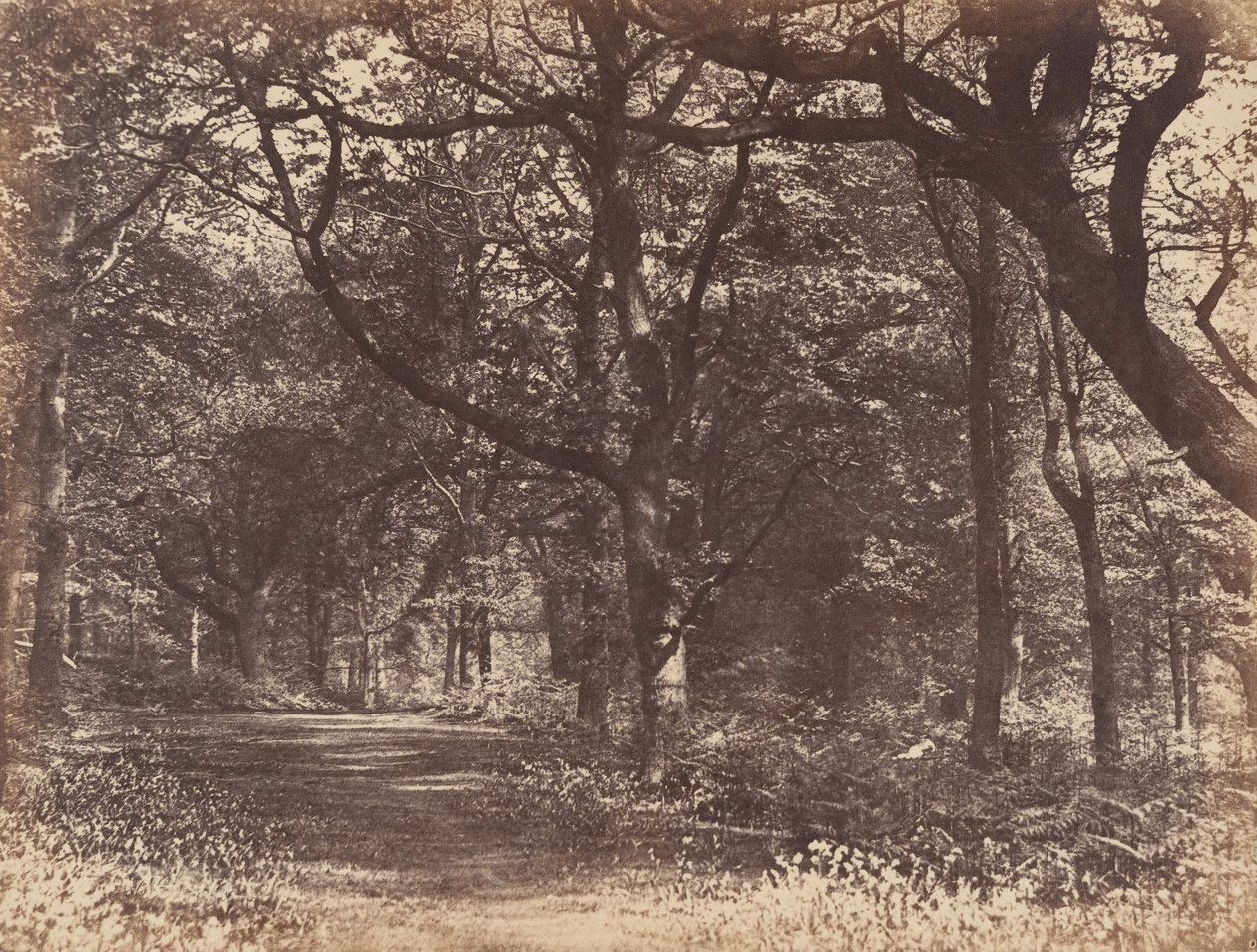 वुड-सीन, नॉर्टन, चेशायर, 1856। द्वारा थॉमस डेविस