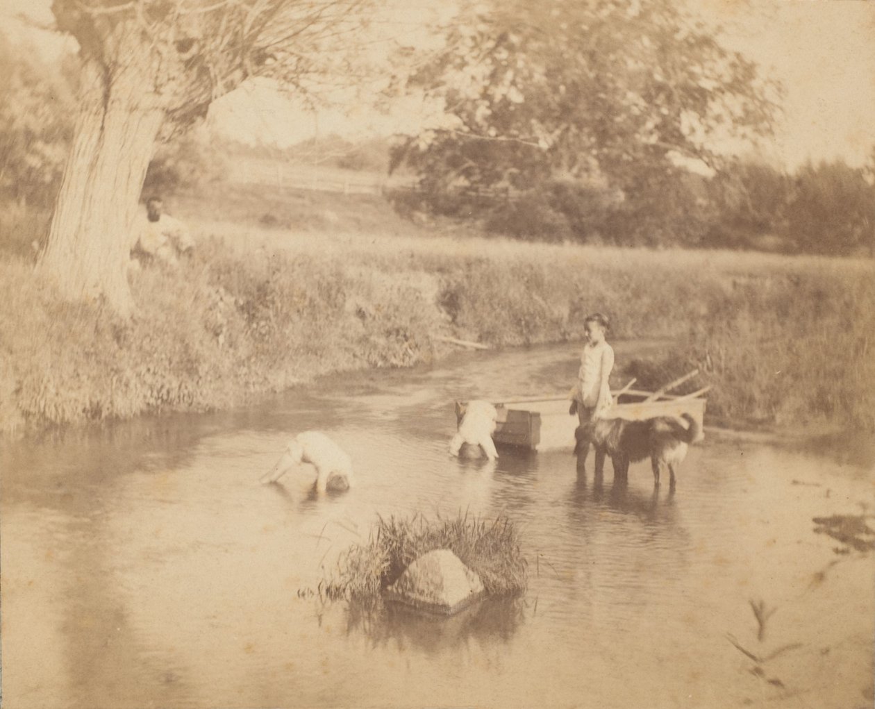 [थ्री चिल्ड्रेन एंड ए डॉग प्लेइंग इन द क्रीक, 4 जुलाई, 1883], 1883, 1883। द्वारा थॉमस एकिंस