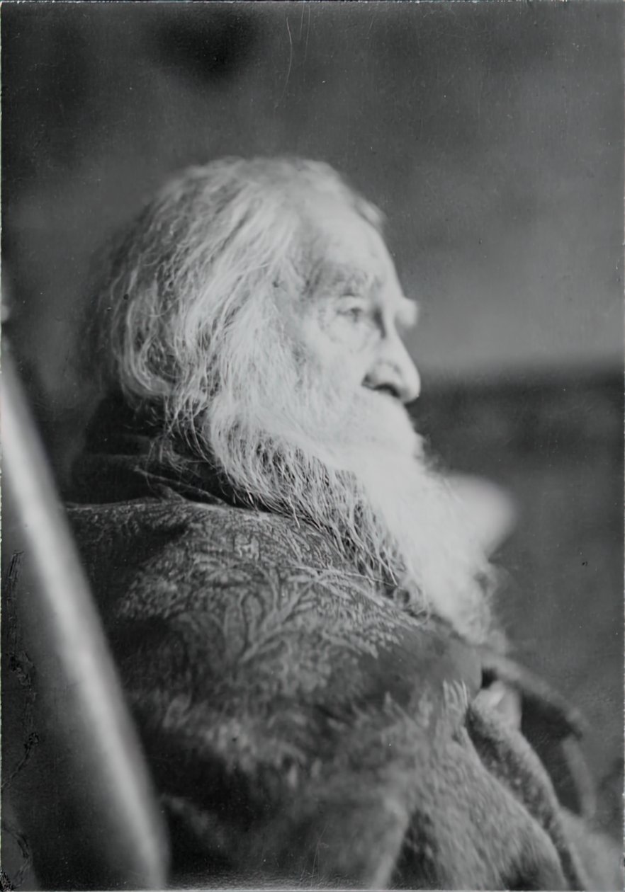 कैमडेन, एनजे में वॉल्ट व्हिटमैन, सी। 1891. द्वारा थॉमस एकिंस