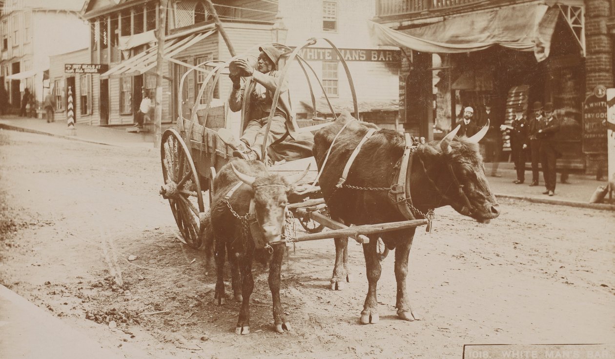 नंबर 1018, 'व्हाइट मैन्स बार', 1895-1910। द्वारा थॉमस एच. लिंडसे