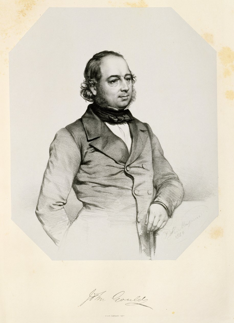 जॉन गोल्ड (1804-81) 1849 द्वारा थॉमस हर्बर्ट मागुइरे