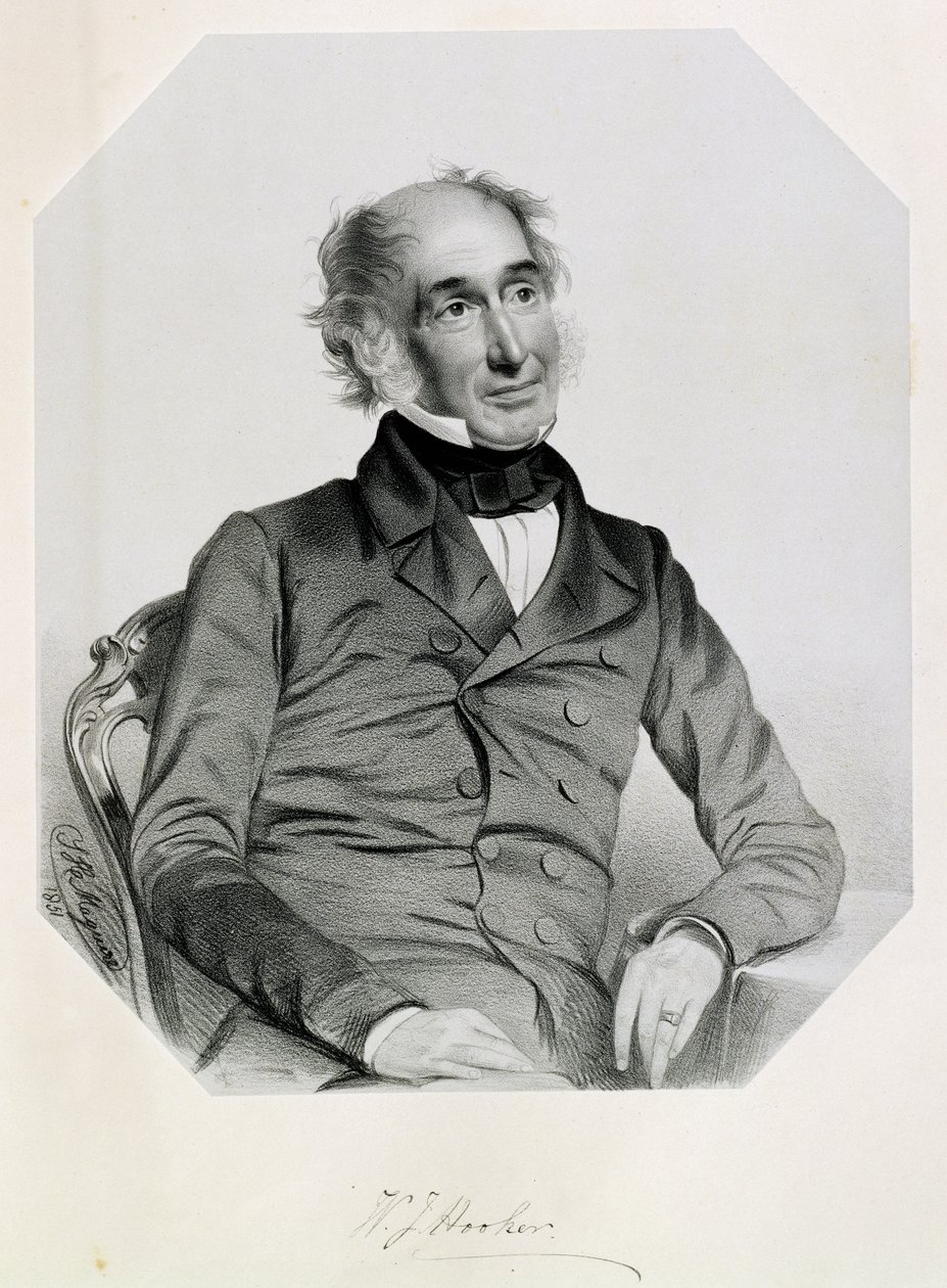 सर विलियम जैक्सन हुकर (1785-1865) 1851 द्वारा थॉमस हर्बर्ट मागुइरे