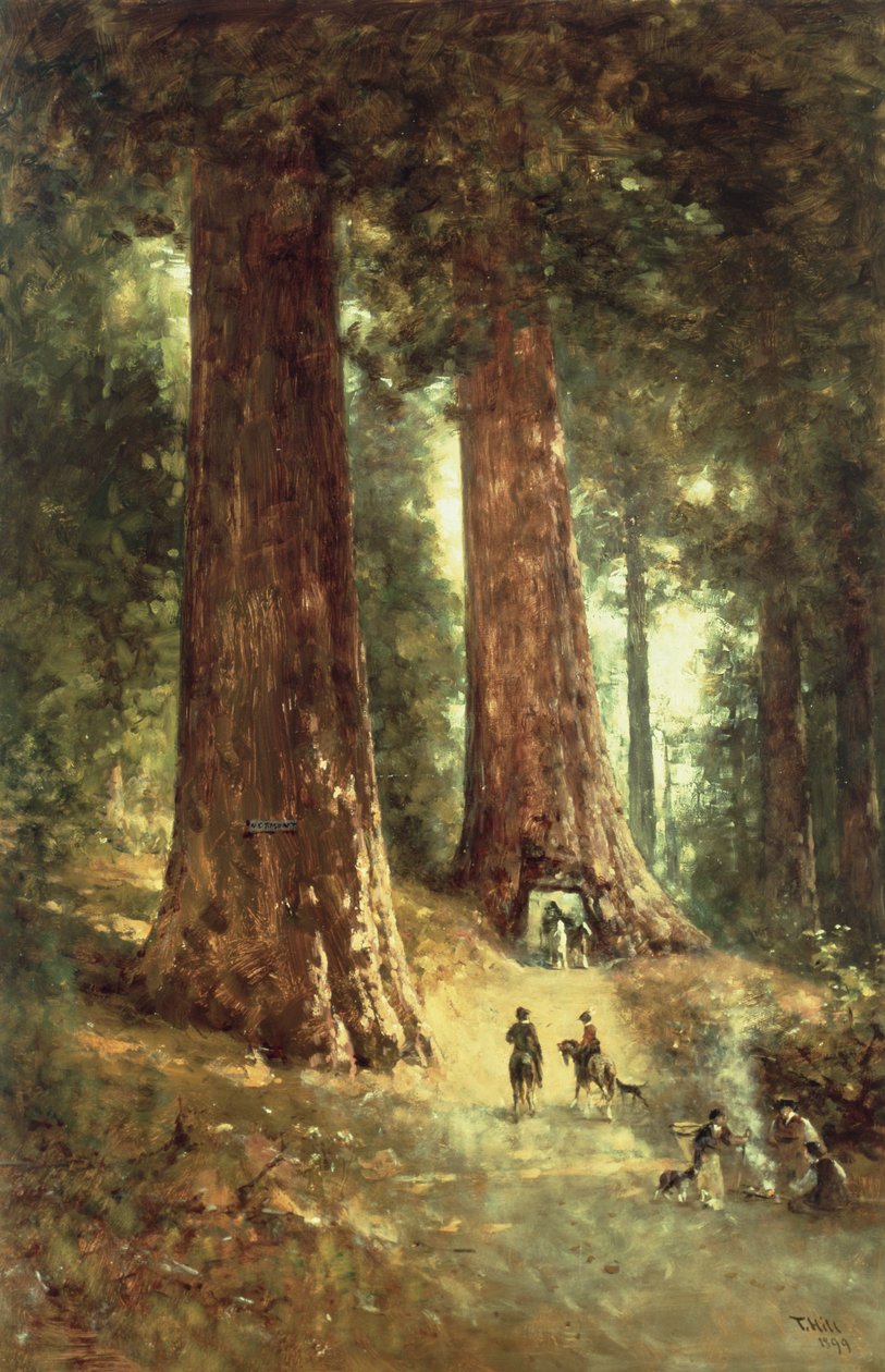 रेडवुड्स में, 1899 द्वारा थॉमस हिल