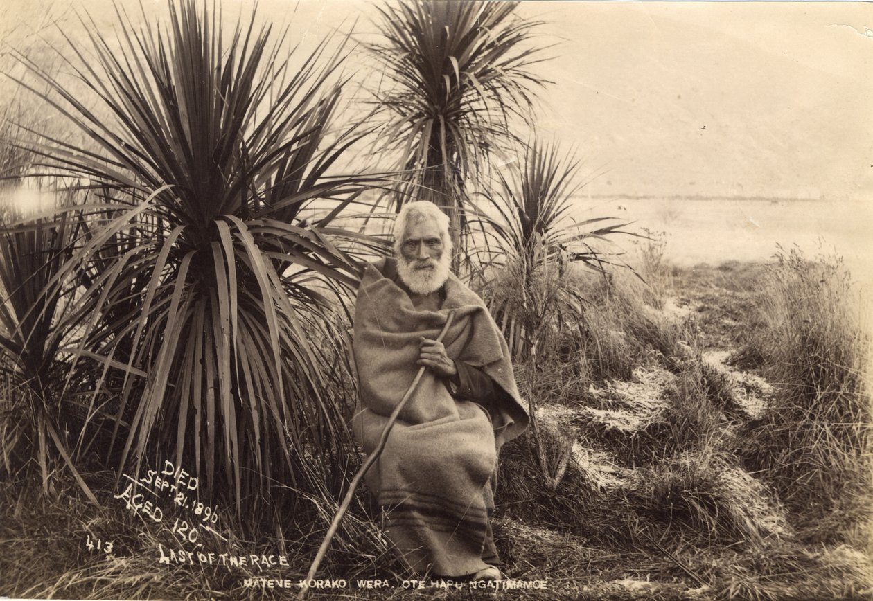 दौड़ के अंतिम, मैट कोरको वेरा। ओटे हापु नगतिमोई, c.1895 (एल्बम प्रिंट) द्वारा थॉमस मुइर