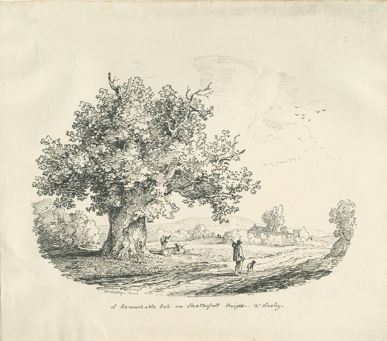अर्ली - शैटरफोर्ट हाइट: लिथोग्राफ, 1839 द्वारा थॉमस पेप्लो लकड़ी