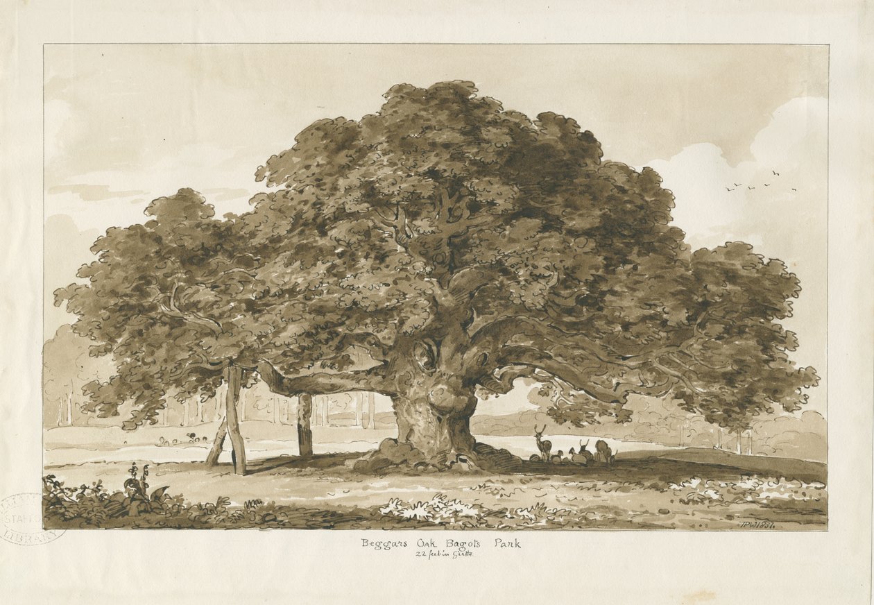 ब्लिथफ़ील्ड - भिखारी का ओक: सीपिया ड्राइंग, 1837 द्वारा थॉमस पेप्लो लकड़ी