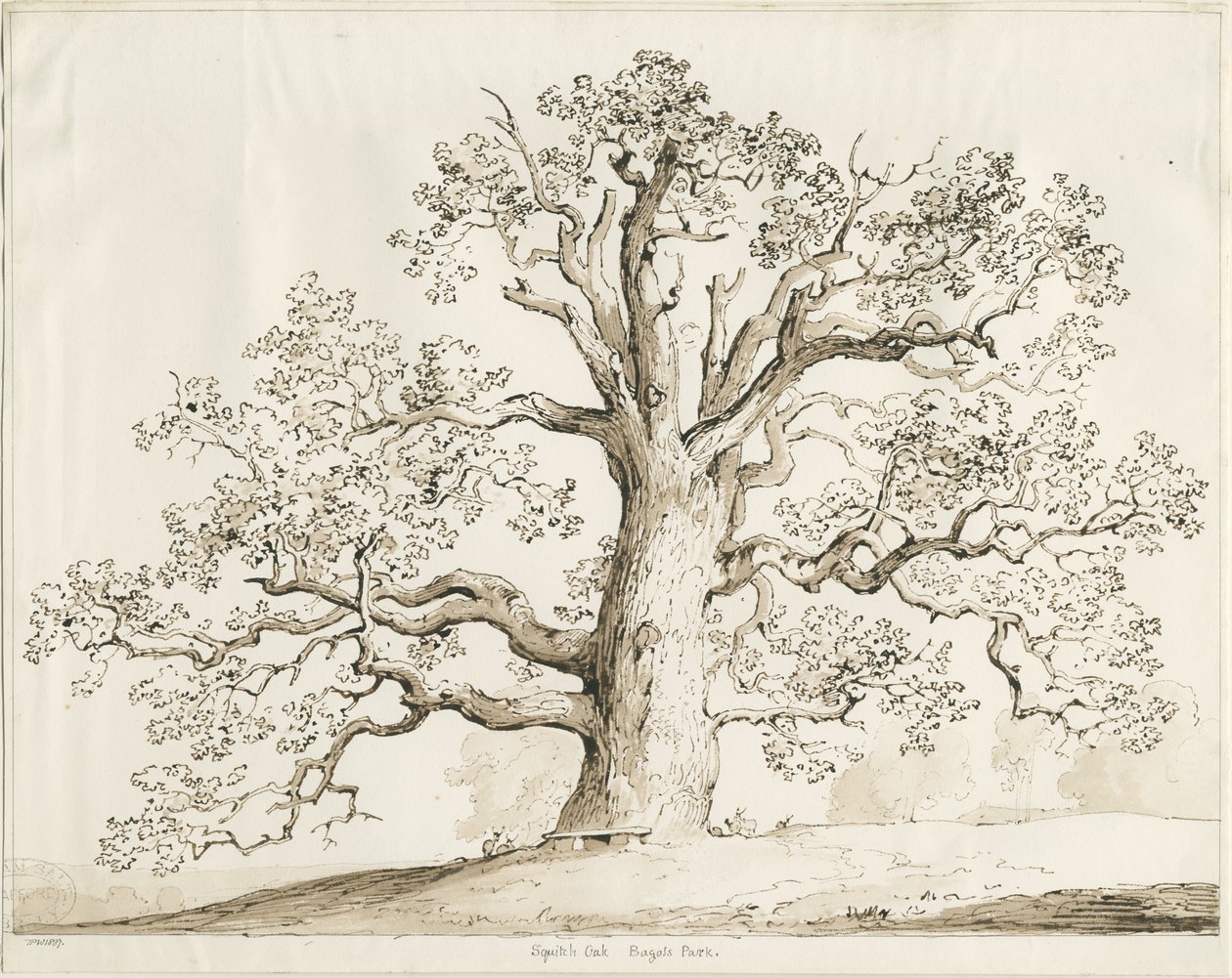 ब्लिथफील्ड - स्क्विच ओक: पेन एंड वाश, 1837 द्वारा थॉमस पेप्लो लकड़ी