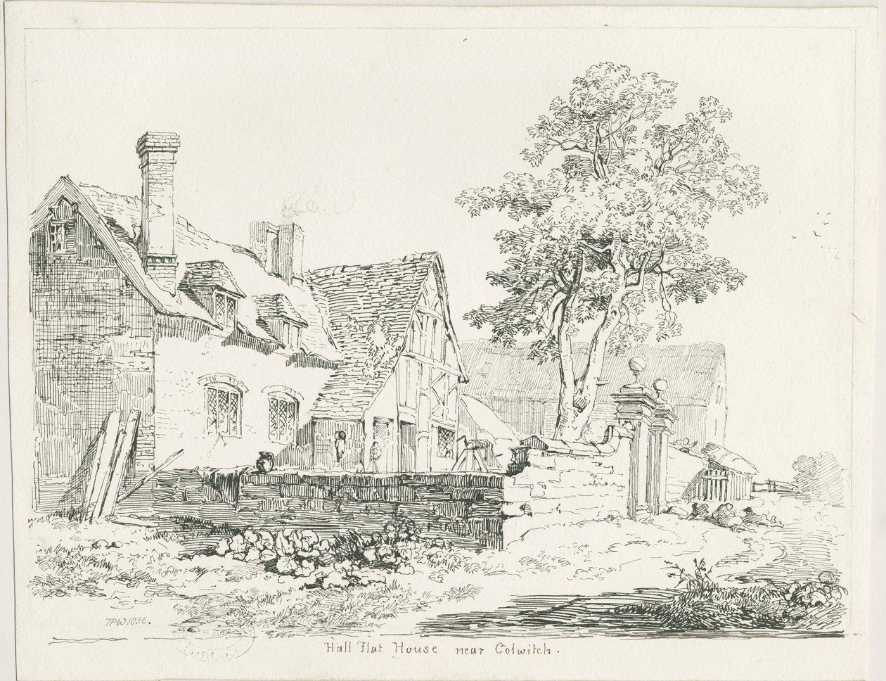 Colwich - Hall Flat House: पेन और इंक ड्राइंग द्वारा थॉमस पेप्लो लकड़ी