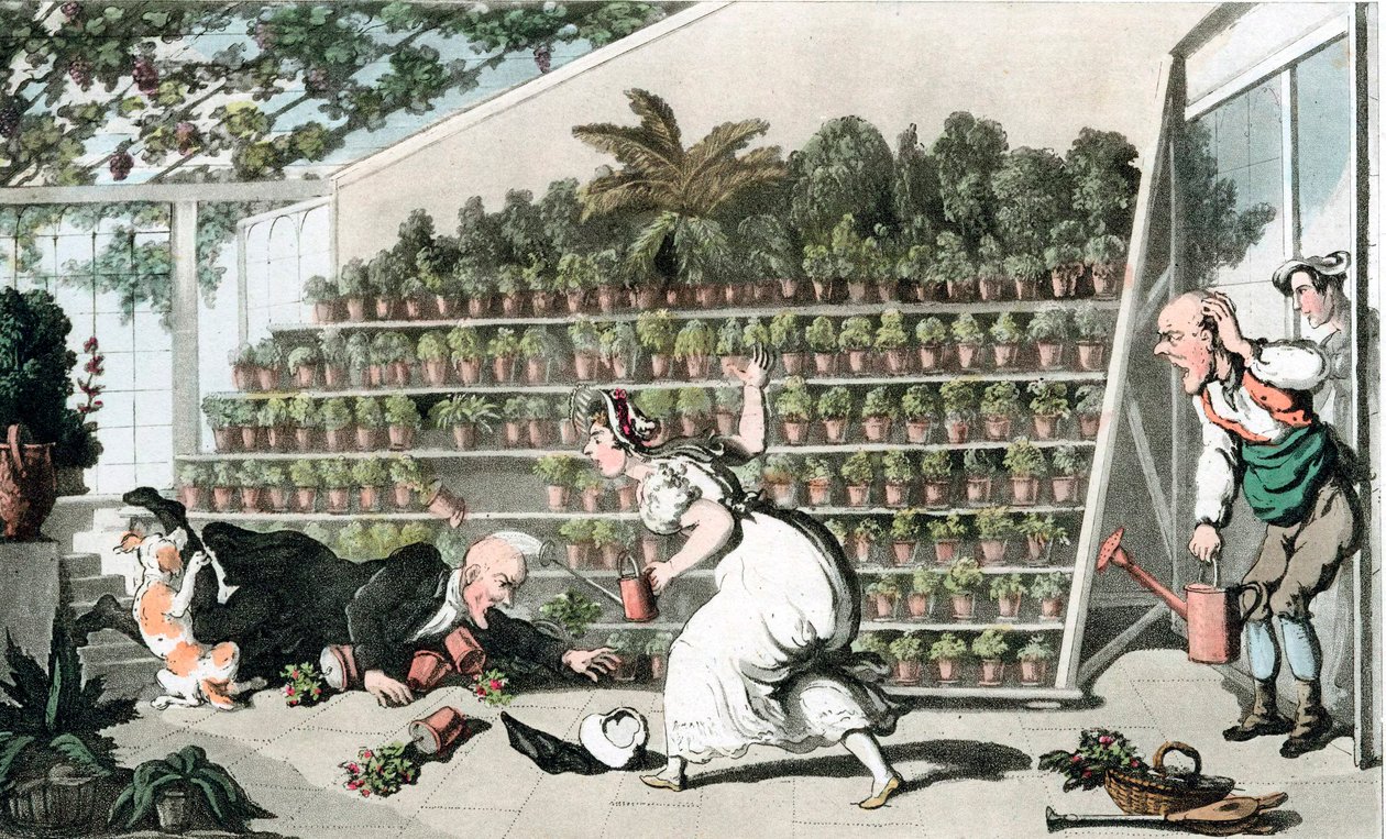 ट्यूलिप हॉल में दुर्भाग्य, c1816 द्वारा थॉमस रोलैंड्सन