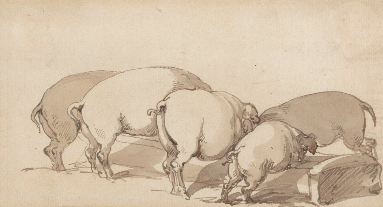 एक गर्त में सूअर, c.1790 (कागज पर पेन और स्याही और भूरे रंग के साथ ग्रेफाइट) द्वारा थॉमस रोलैंड्सन