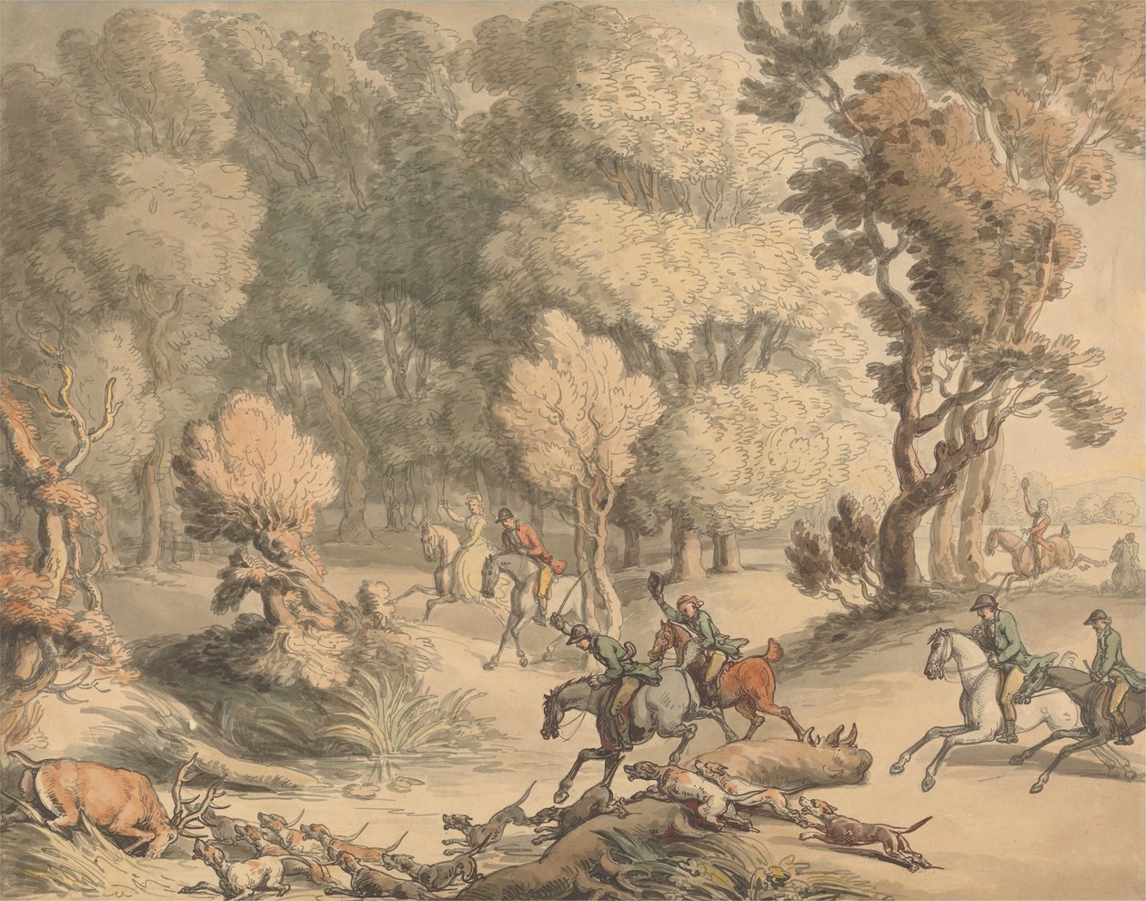बे पर स्टैग - टेप्लो के पास दृश्य, बर्क्स, c.1795-1801 (कागज पर बॉडीकोल के स्पर्श के साथ कलम, स्याही, जल रंग) द्वारा थॉमस रोलैंड्सन