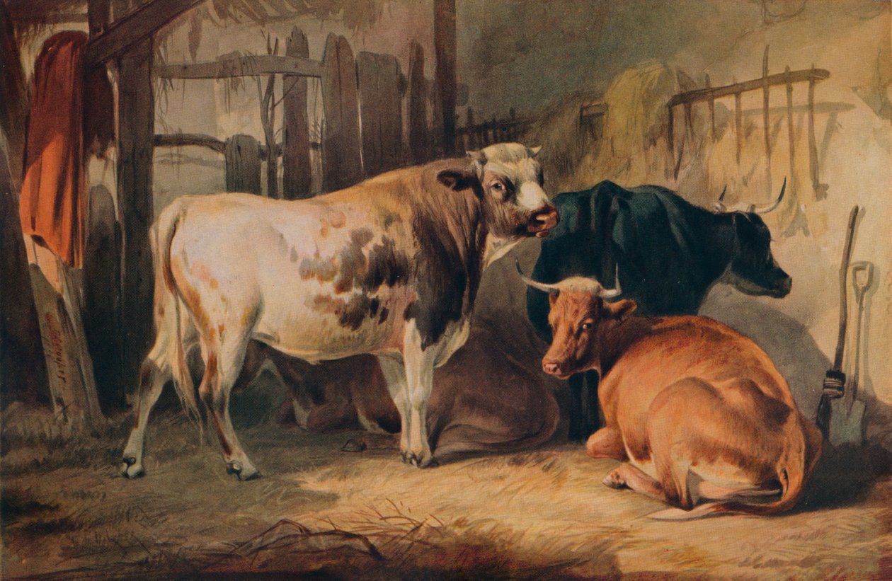 एक बैल और एक स्थिर, c1856 में तीन गाय द्वारा थॉमस सिडनी कूपर